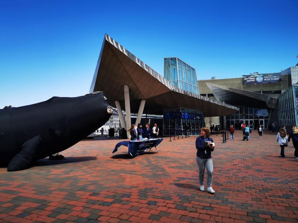 Location+Comfort+Convenience Boston Dış mekan fotoğraf